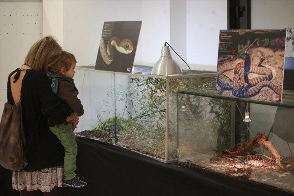 Dünyanın en zehirli yılanları Zagreb'de sergilendi