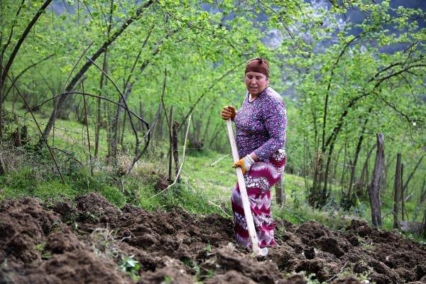 Mahalle ismi 'Dul' olunca imza toplandı