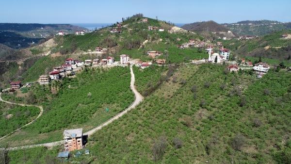 Mahalle ismi 'Dul' olunca imza toplandı