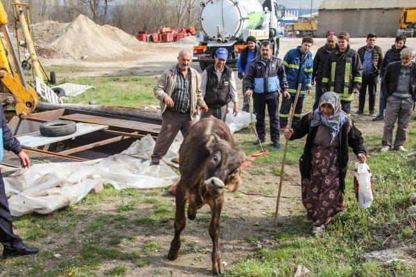 Mahsur kalan dana için seferber oldular