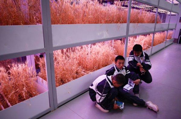 Gobi Çölü'ne uzay üssü kuruldu