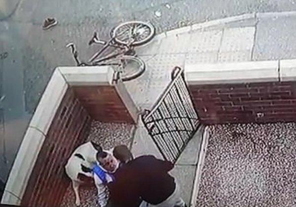 İngiltere'de duvara çarpan bisikletli