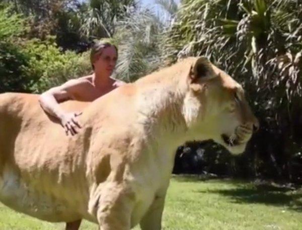 Dünyanın en büyük kedisiyle yaşayan adam