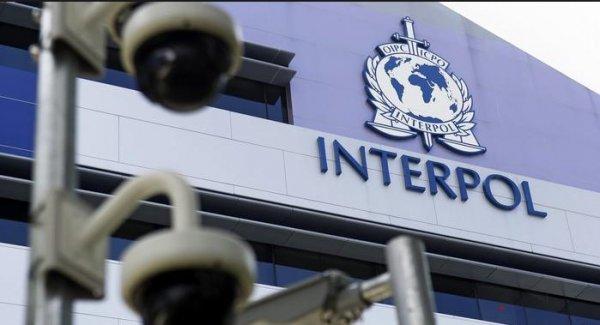 Interpol nedir