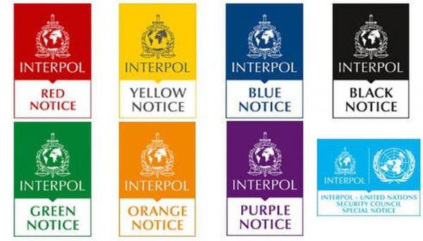 Interpol nedir