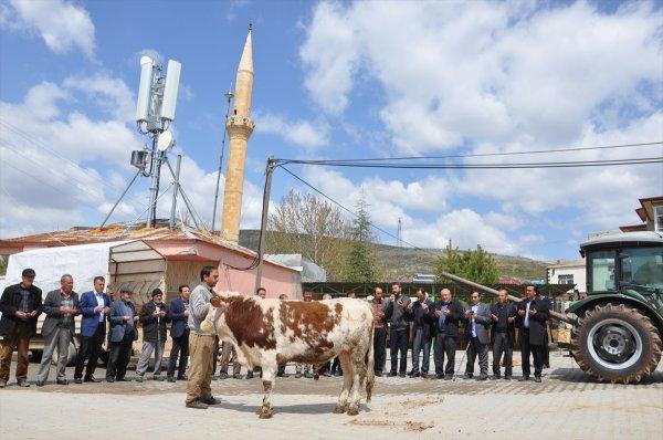 Elbistan fazla yağış alınca, kurban kesildi