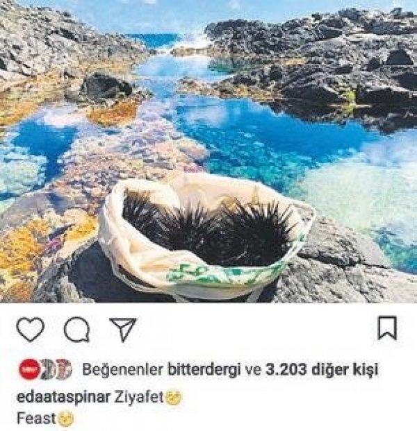 Eda Taşpınar timsah eti yedi