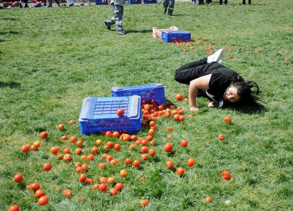 Antalya'da kadınlar arası domates yarışması