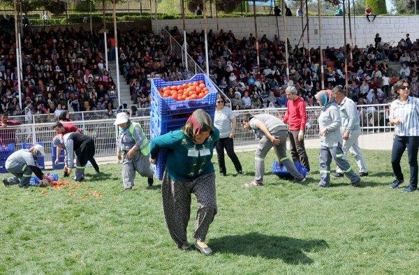 Antalya'da kadınlar arası domates yarışması