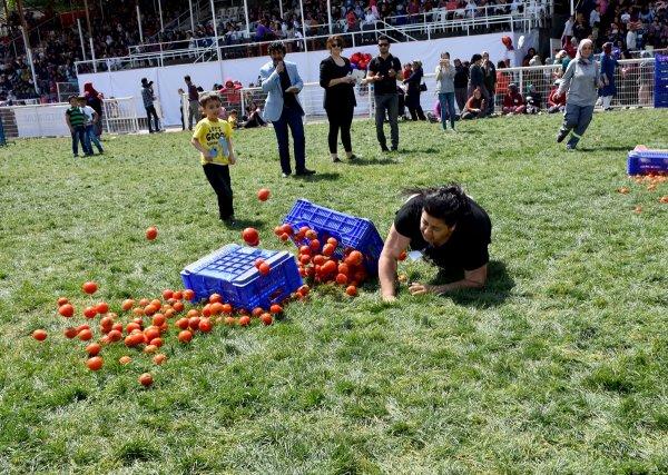 Antalya'da kadınlar arası domates yarışması