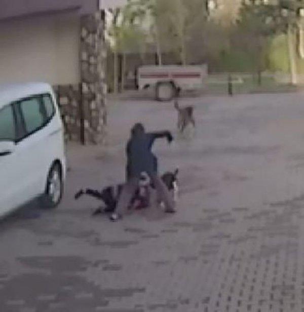 Köpeğin önüne atlayan anne, yılın annesi ödülünü aldı