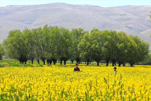 Malatya'da düğün çiçekleri görsel şölen sunuyor