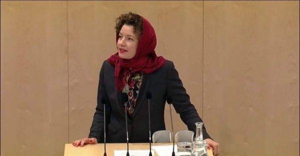 Avusturya meclisinde başörtülü protesto