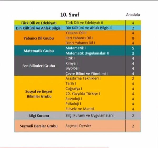 Yeni dönemde lisede seçilecek dersler