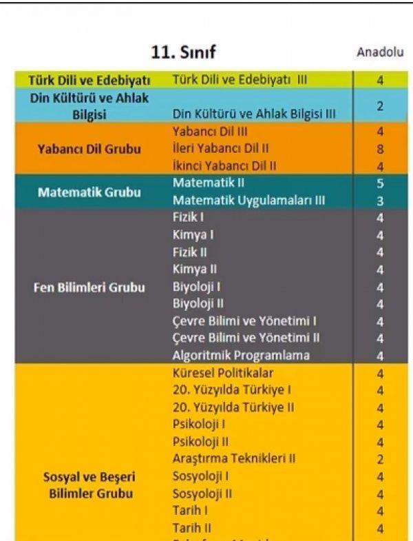 Yeni dönemde lisede seçilecek dersler