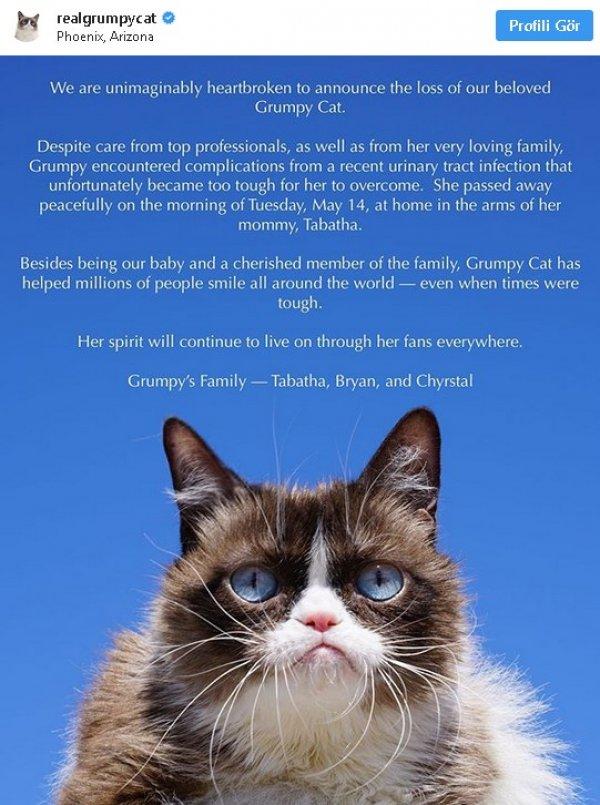 Sosyal medyanın fenomen kedisi öldü