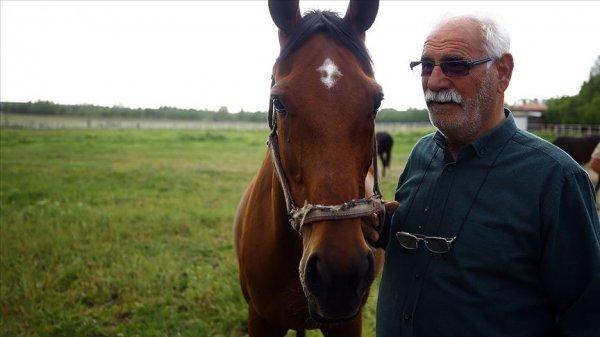 60 yıldır şampiyon atları yetiştiriyor