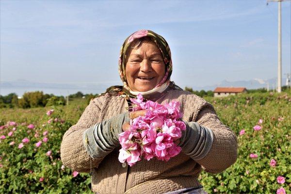 Isparta gülleri tarlaları renklendirdi