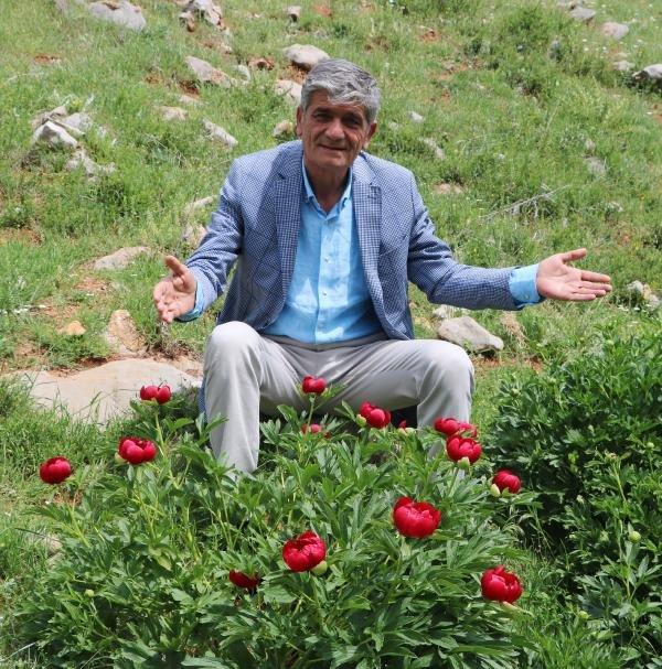 Ayı gülünü koparana 60 bin TL ceza kesilecek