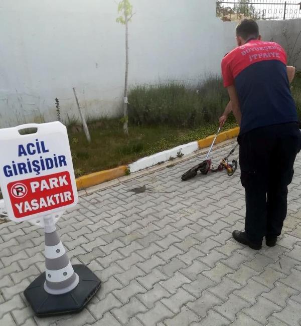 Hastane bahçesinde yakalanan yılan doğaya salındı