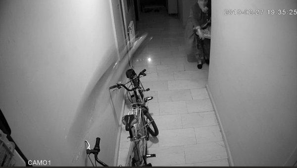 Adıyaman'da komşuya taciz ve saldırı kamerada