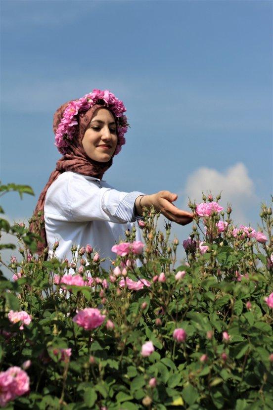 Isparta gülleri tarlaları renklendirdi