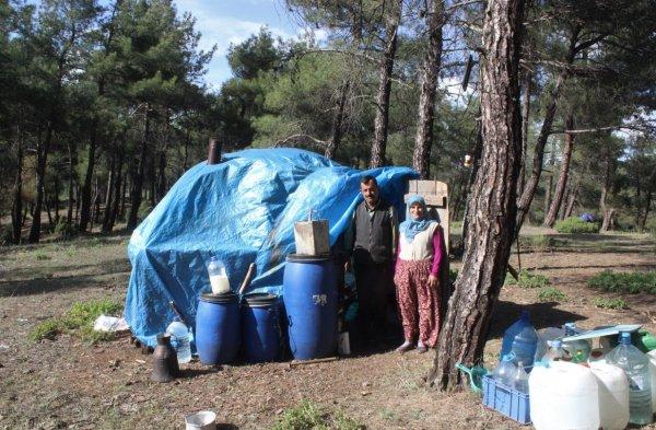 Şehri bırakıp ormana yerleşti