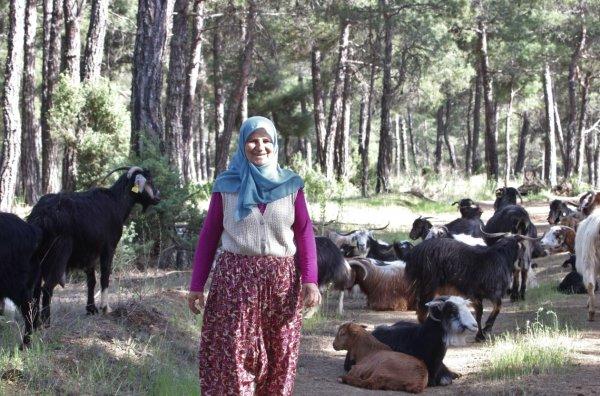 Şehri bırakıp ormana yerleşti