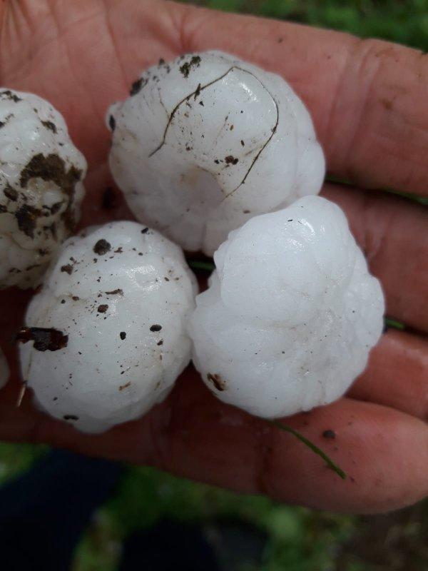 Ceviz büyüklüğünde yağan dolu fındığa zarar verdi