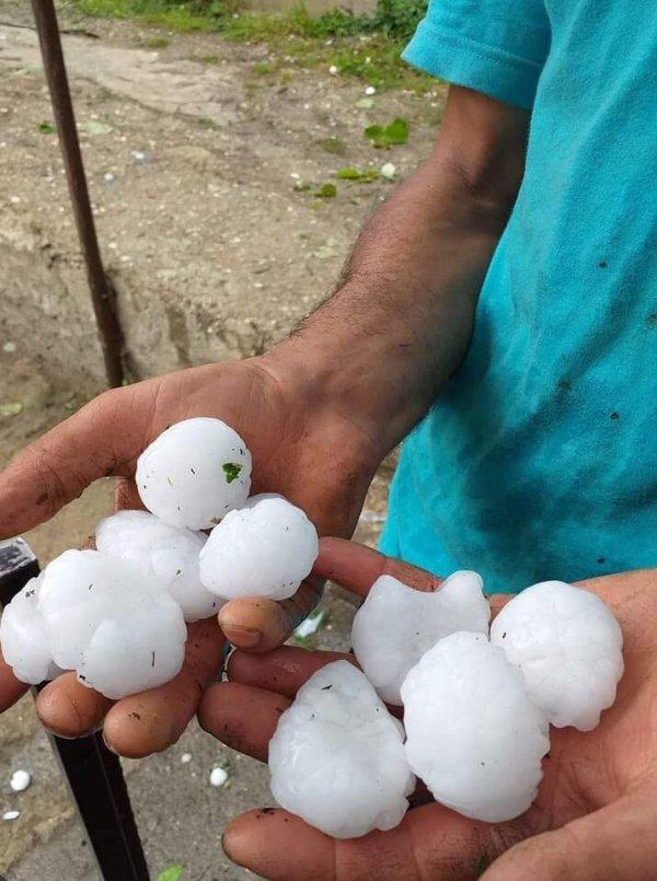 Ceviz büyüklüğünde yağan dolu fındığa zarar verdi