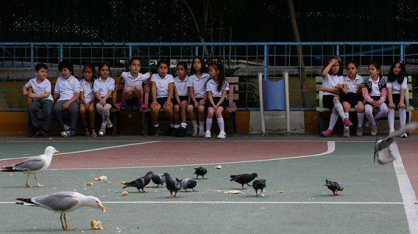 Teneffüs arası martı besleme nöbeti