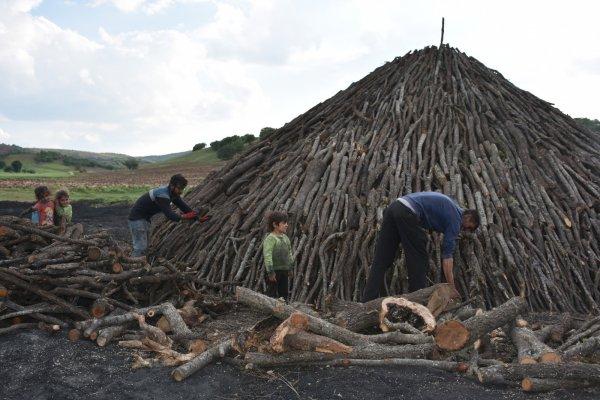 Kırıkkale'de zor şartlarda mangal kömürü yapıyorlar