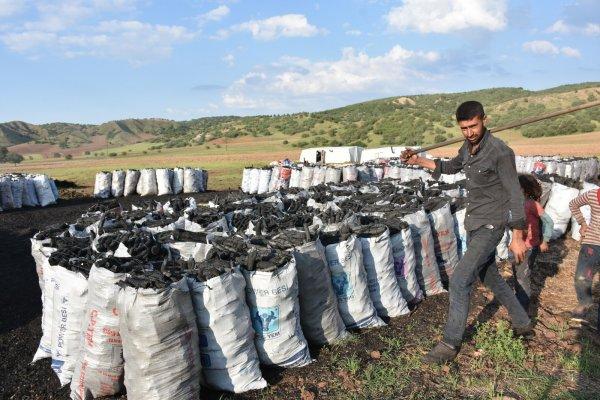 Kırıkkale'de zor şartlarda mangal kömürü yapıyorlar