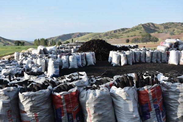 Kırıkkale'de zor şartlarda mangal kömürü yapıyorlar