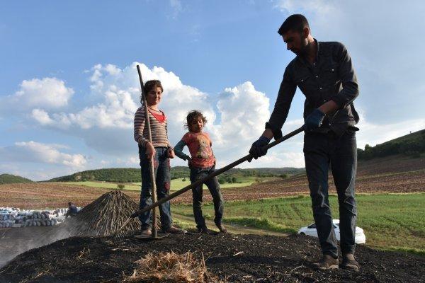 Kırıkkale'de zor şartlarda mangal kömürü yapıyorlar