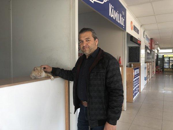 Terminalin kedisi Sarı, köpeklerin korkulu rüyası