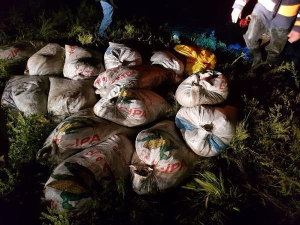 Kaçak avlanan 10 ton inci kefali ele geçirildi