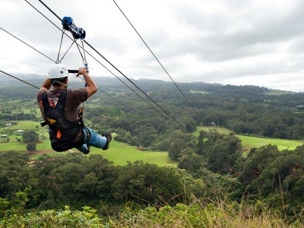 Zipline nedir