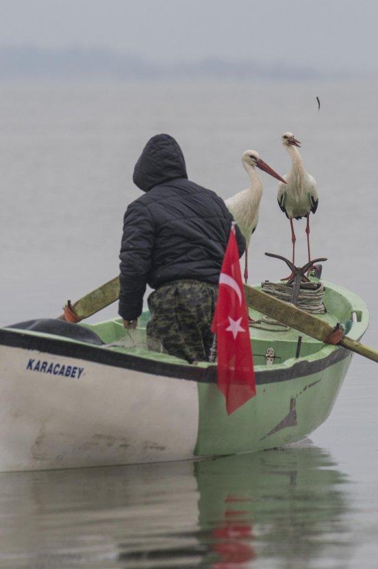 8 yıldır Adem Amca'yı ziyaret eden leylek bu yıl eşiyle geldi