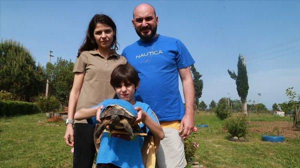 'Şanslı' kaplumbağa, yapay kabuğuyla hayata tutundu