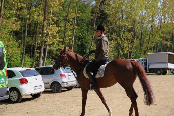 Belgrad Ormanları'nda atlı korumalar
