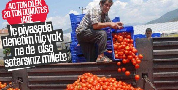 Rusya 20 ton kayısı tezgâha çıkarmama kararı aldı