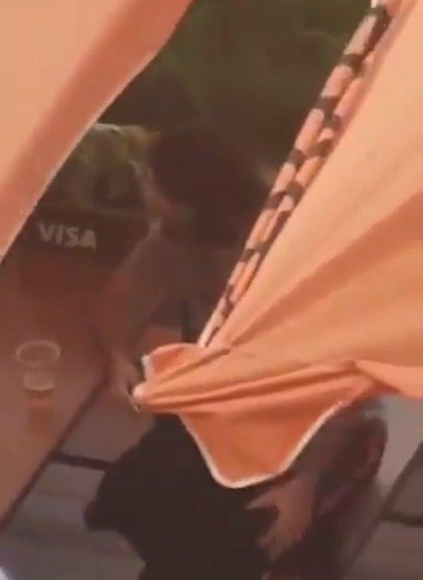 Rasim Ozan Kütahyalı hakkında yakalama kararı