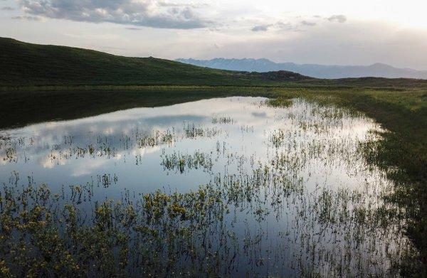 Gümüşhane'deki Yaylanın Yüreği görenleri büyülüyor