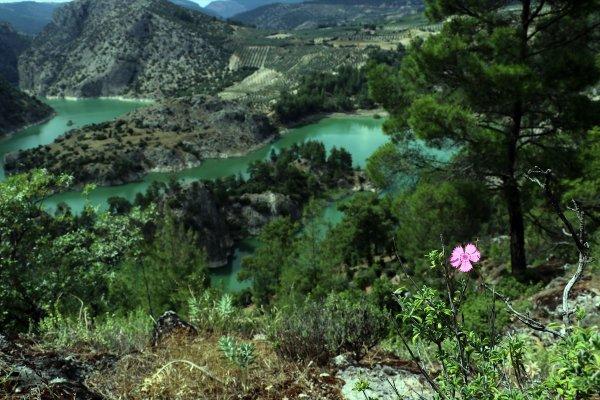 Güzelliğiyle ziyaretçilerini büyüleyen kanyon: Arapapıştı