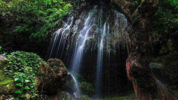 Antalya ormanlarındaki saklı cennet