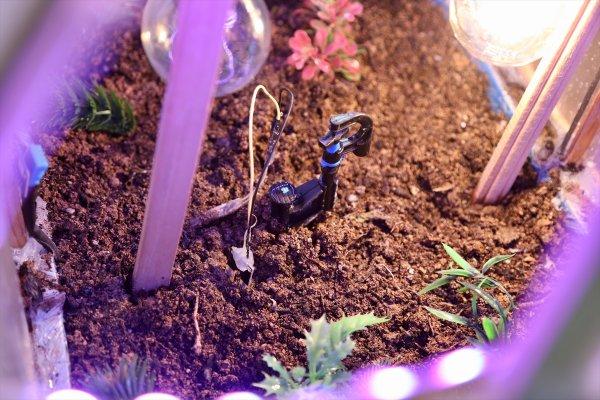 Liseli gençler akıllı sera üretti