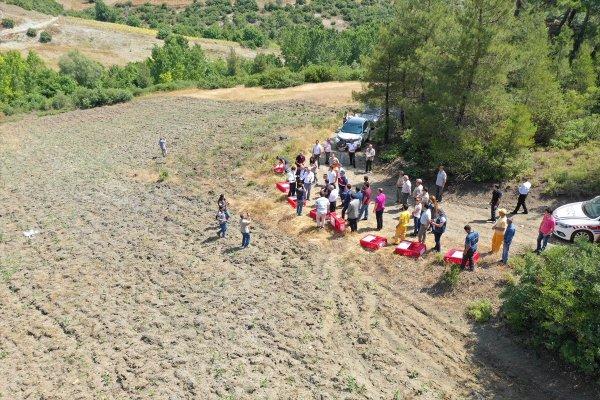 Balıkesir'de bin kadar keklik doğaya salındı
