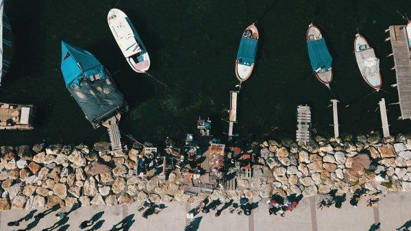 Çay tezgahında kargayla servis yapıyor