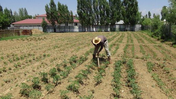 Muş'ta LGS birincisi çocuğun zorlu yaşamı